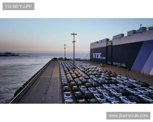 上海海港奋力打造国际一流现代化港口枢纽引领长三角高质量发展