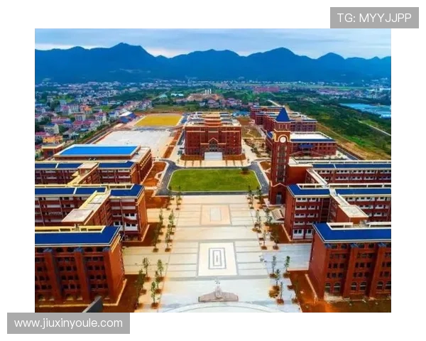 岳阳队足球奋勇拼搏展现湖湘精神推动城市体育高质量发展