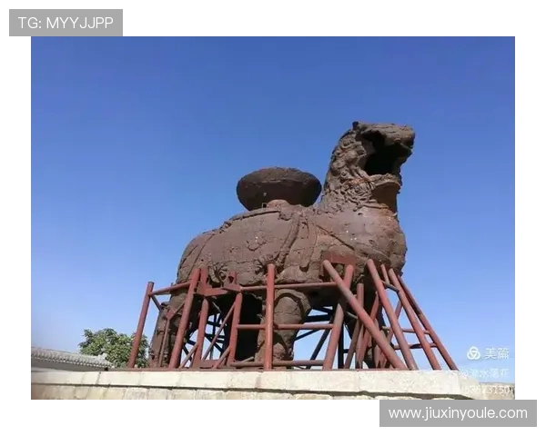 沧州雄狮展风采打造文化名片助力地方经济腾飞