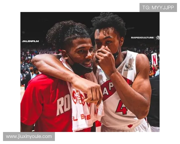 2013至2014赛季火箭队与猛龙队精彩对决回顾与分析